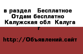  в раздел : Бесплатное » Отдам бесплатно . Калужская обл.,Калуга г.